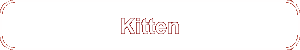 Kitten